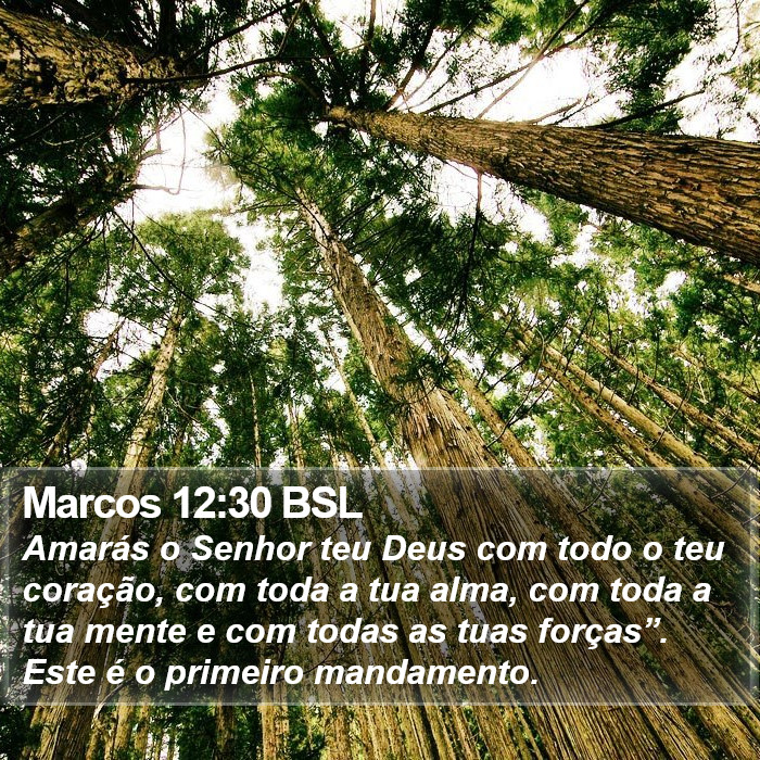 Marcos 12:30 BSL Bible Study