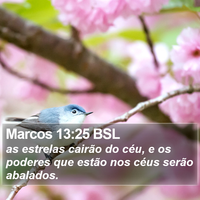 Marcos 13:25 BSL Bible Study