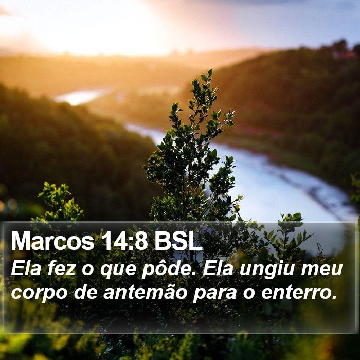 Marcos 14:8 BSL Bible Study