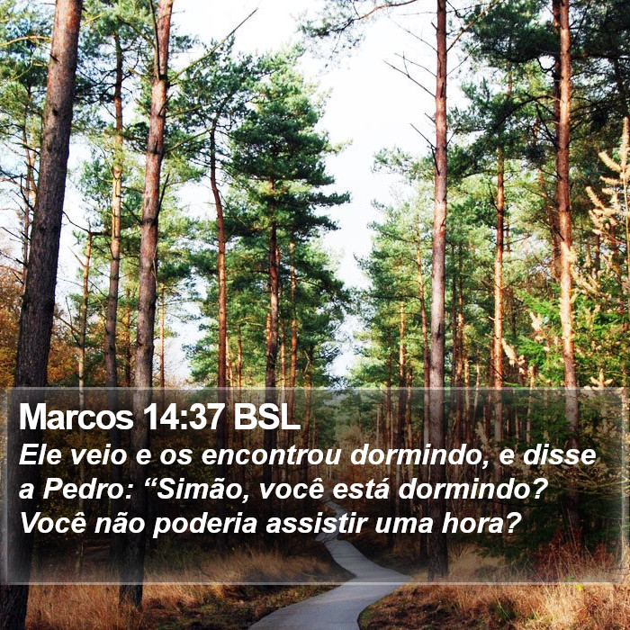 Marcos 14:37 BSL Bible Study