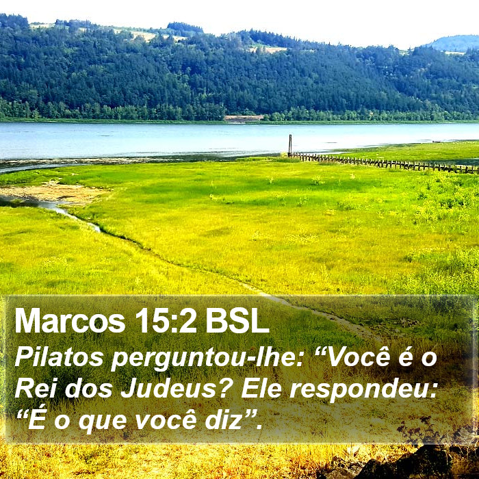 Marcos 15:2 BSL Bible Study