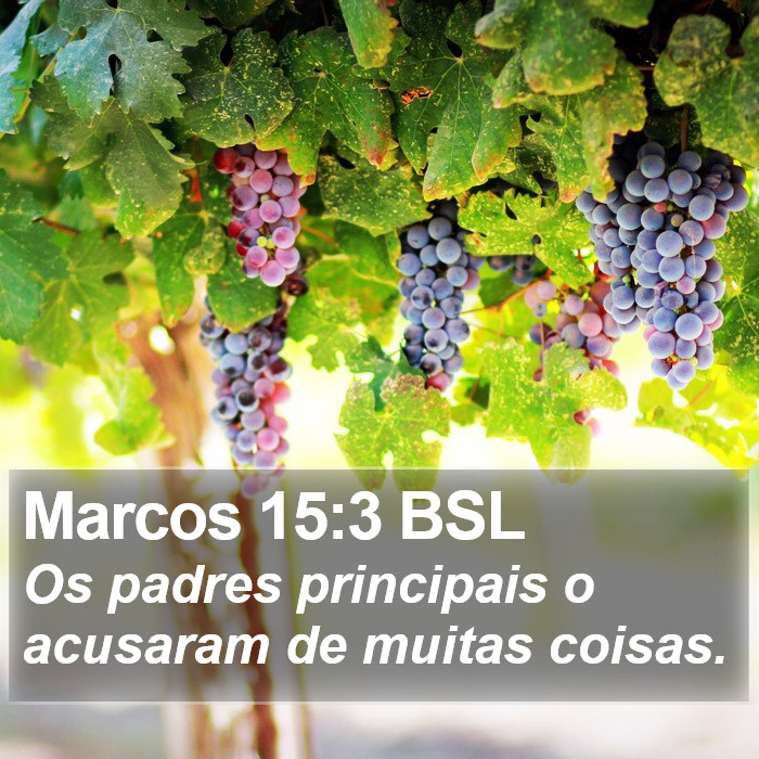 Marcos 15:3 BSL Bible Study