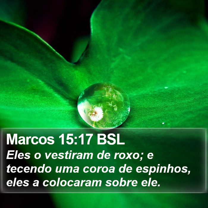 Marcos 15:17 BSL Bible Study