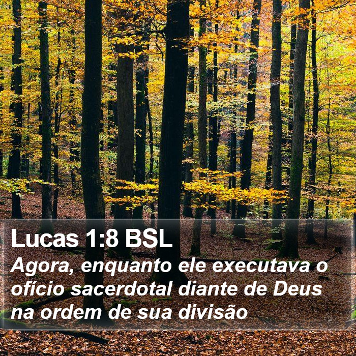 Lucas 1:8 BSL Bible Study