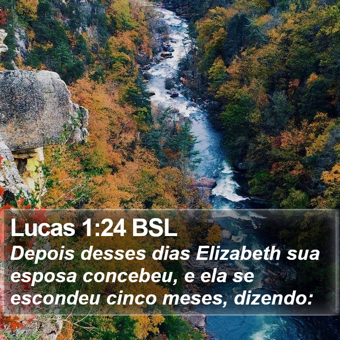 Lucas 1:24 BSL Bible Study