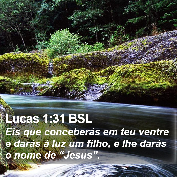 Lucas 1:31 BSL Bible Study