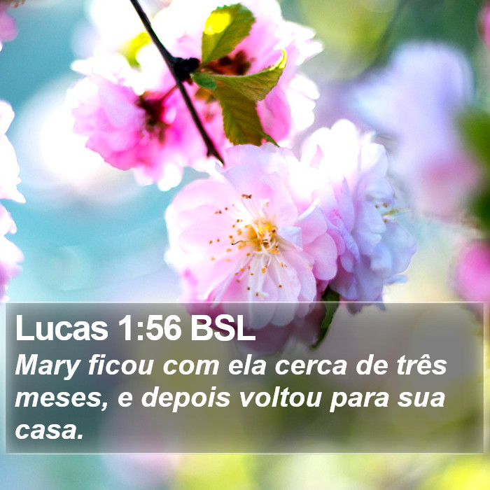 Lucas 1:56 BSL Bible Study