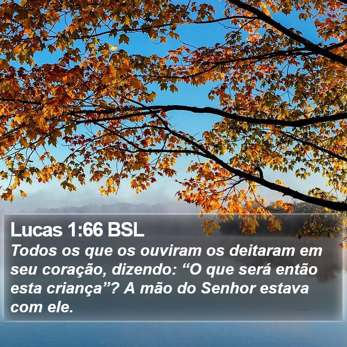 Lucas 1:66 BSL Bible Study