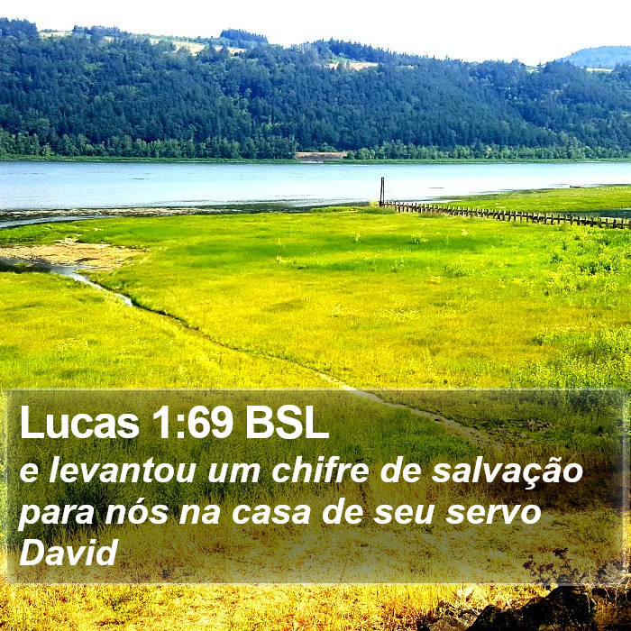 Lucas 1:69 BSL Bible Study