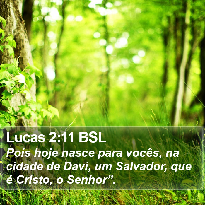 Lucas 2:11 BSL Bible Study