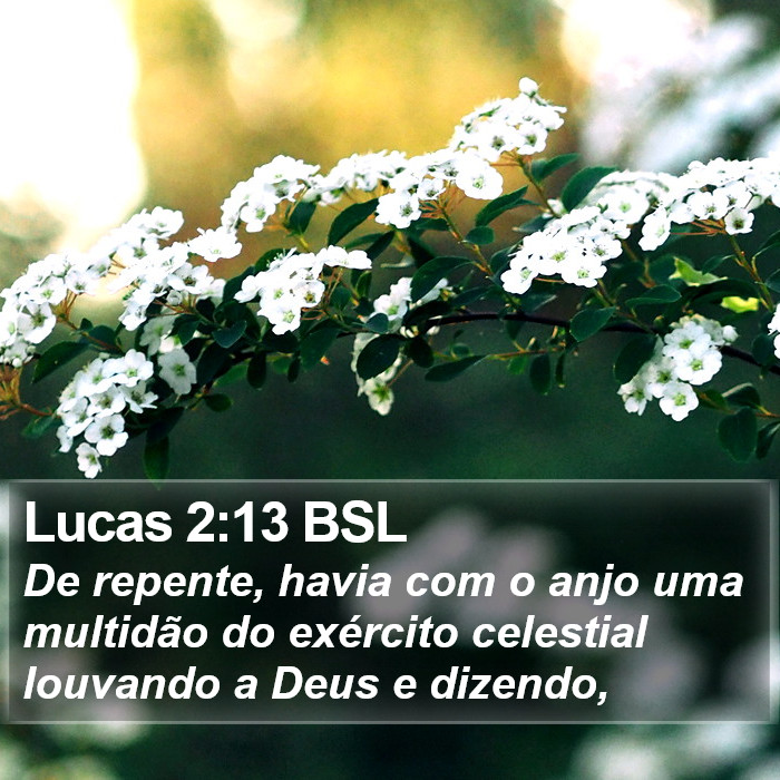 Lucas 2:13 BSL Bible Study