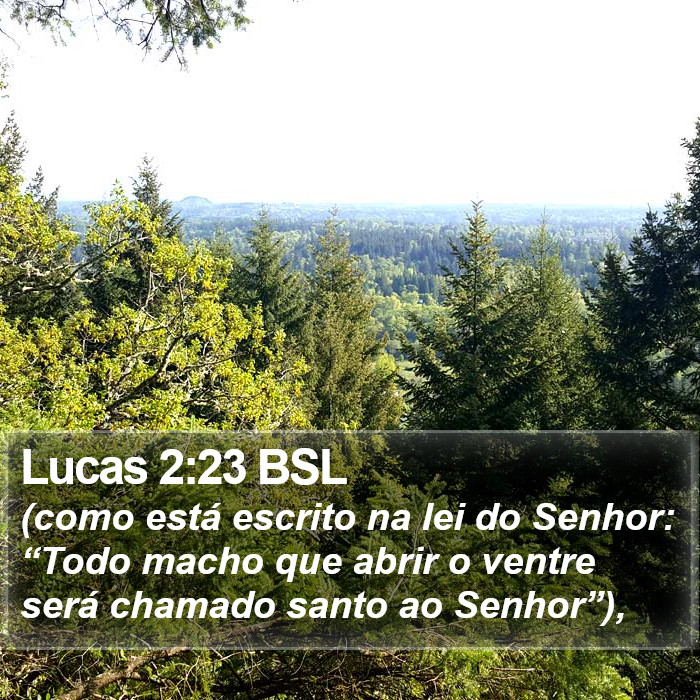 Lucas 2:23 BSL Bible Study