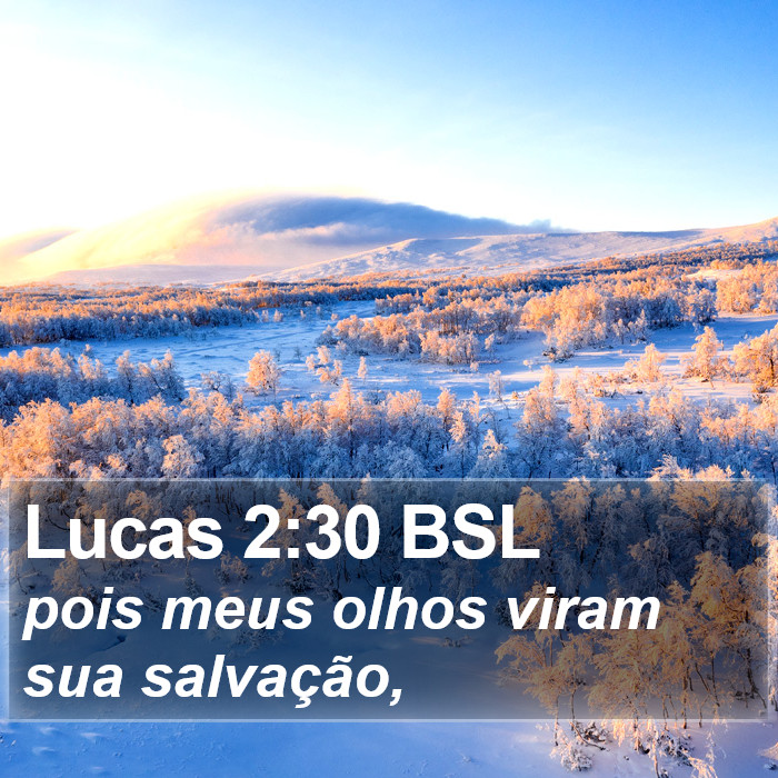 Lucas 2:30 BSL Bible Study