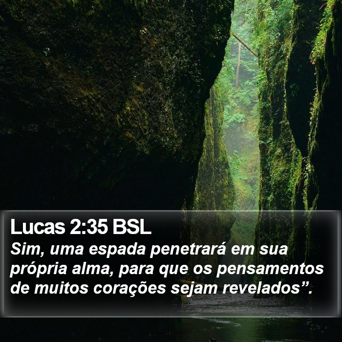 Lucas 2:35 BSL Bible Study