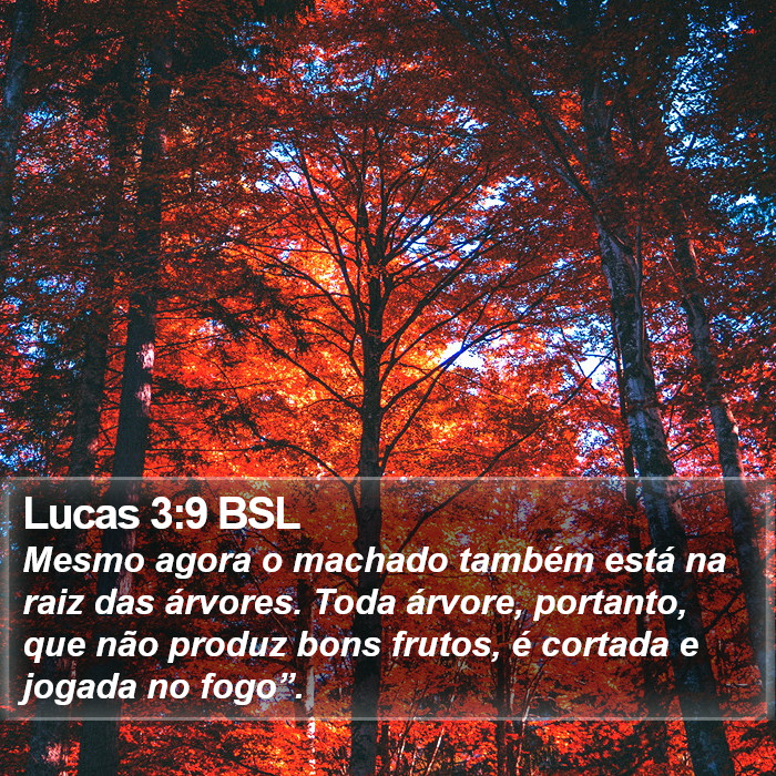 Lucas 3:9 BSL Bible Study