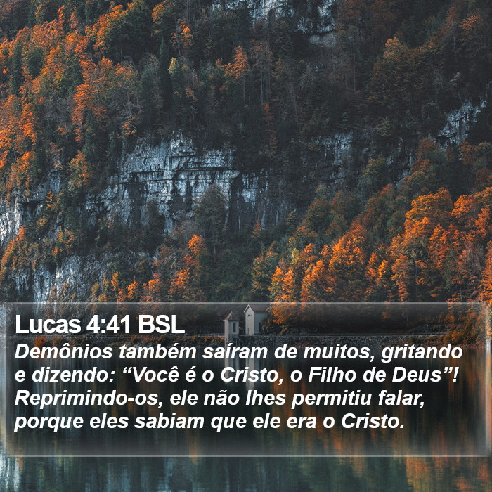 Lucas 4:41 BSL Bible Study