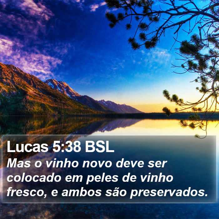 Lucas 5:38 BSL Bible Study