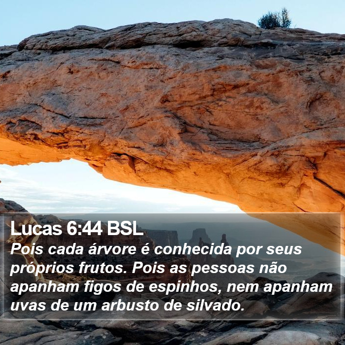 Lucas 6:44 BSL Bible Study