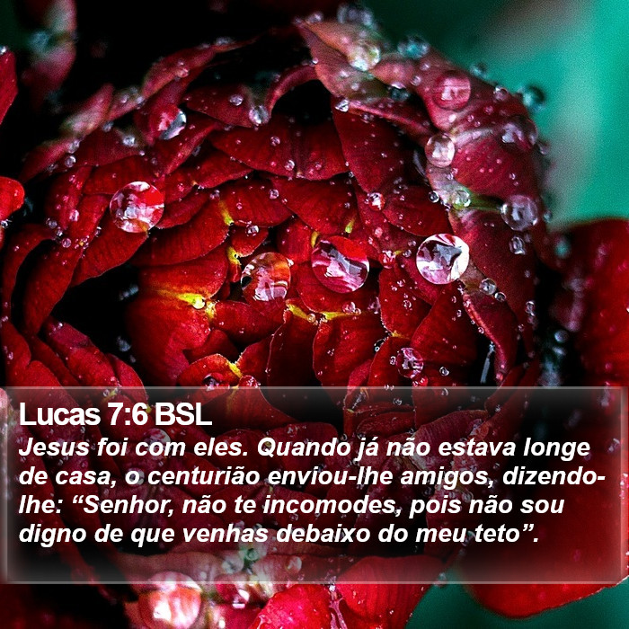 Lucas 7:6 BSL Bible Study