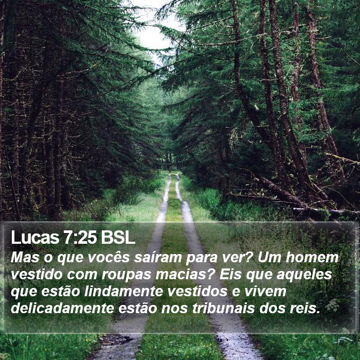 Lucas 7:25 BSL Bible Study