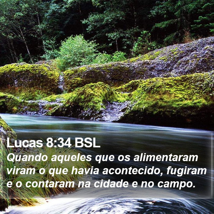 Lucas 8:34 BSL Bible Study