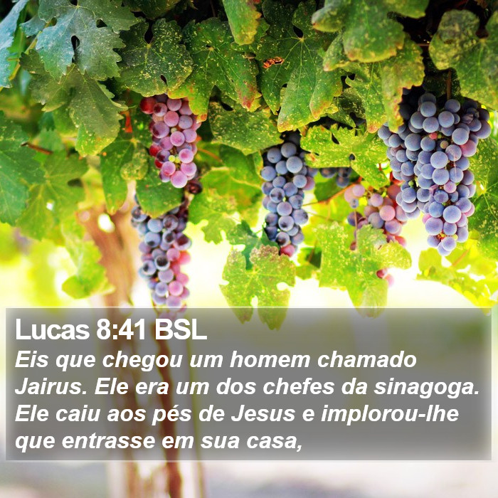 Lucas 8:41 BSL Bible Study