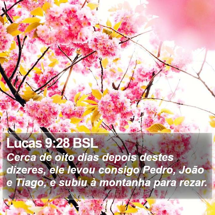 Lucas 9:28 BSL Bible Study