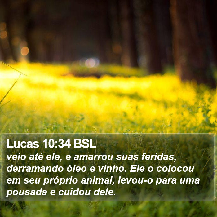Lucas 10:34 BSL Bible Study