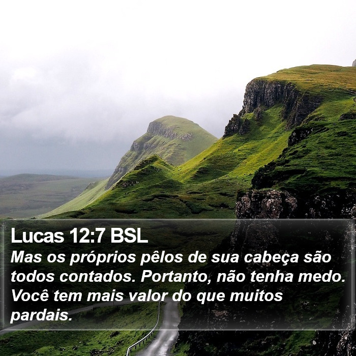 Lucas 12:7 BSL Bible Study
