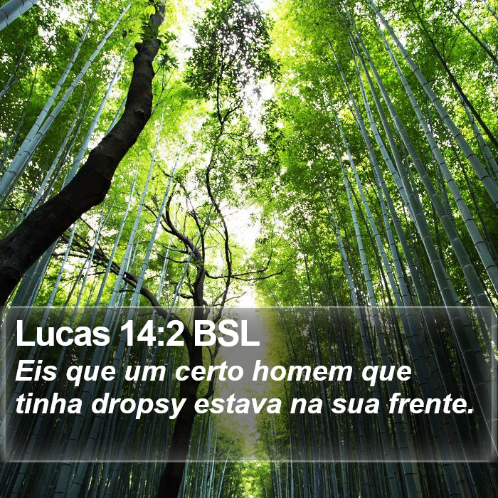 Lucas 14:2 BSL Bible Study