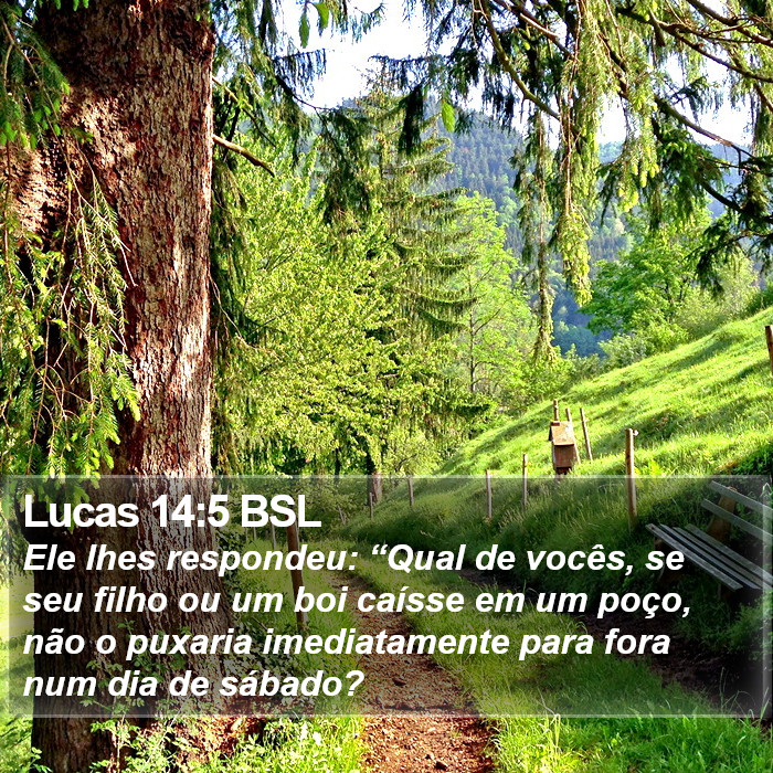 Lucas 14:5 BSL Bible Study