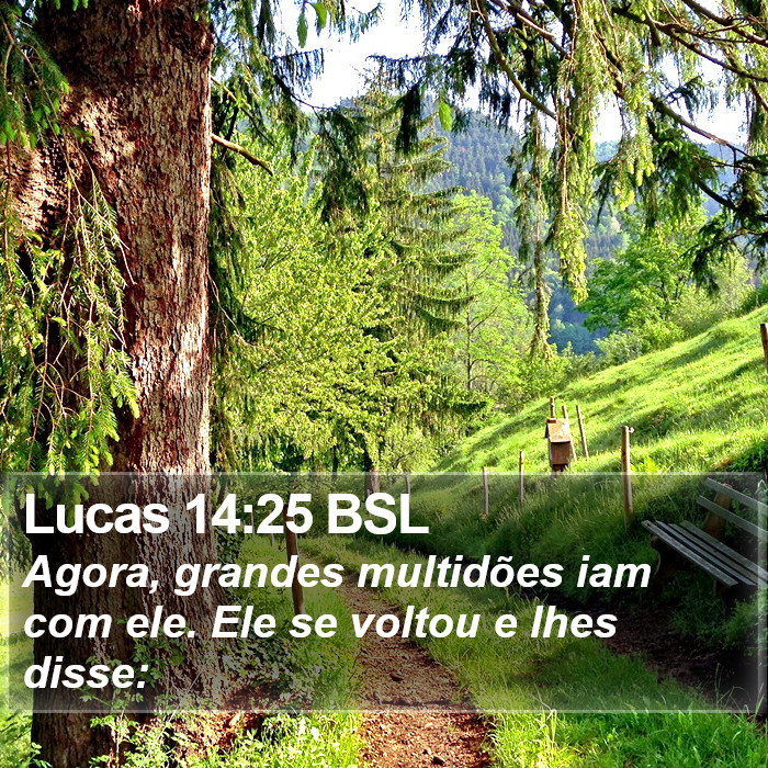 Lucas 14:25 BSL Bible Study