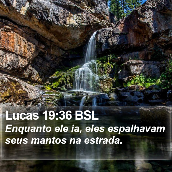 Lucas 19:36 BSL Bible Study