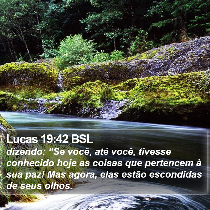 Lucas 19:42 BSL Bible Study