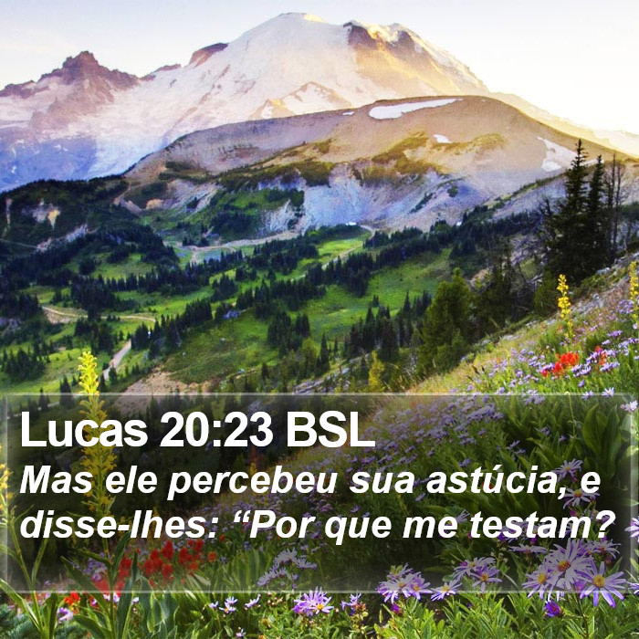 Lucas 20:23 BSL Bible Study