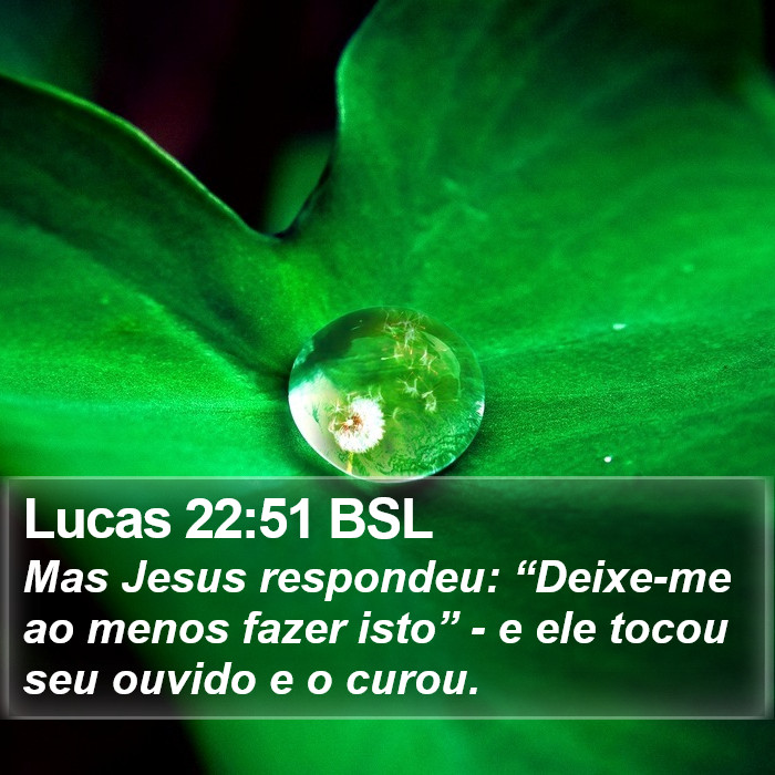 Lucas 22:51 BSL Bible Study