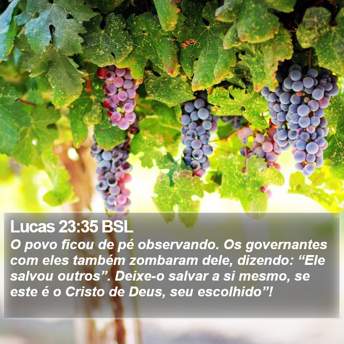 Lucas 23:35 BSL Bible Study