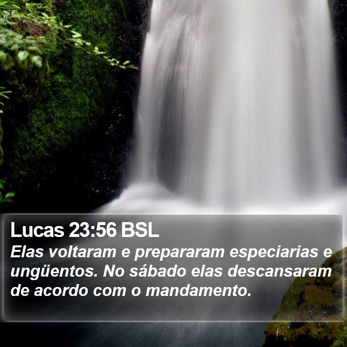 Lucas 23:56 BSL Bible Study