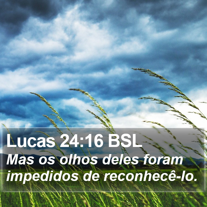 Lucas 24:16 BSL Bible Study