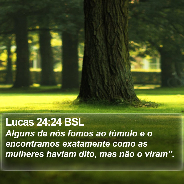 Lucas 24:24 BSL Bible Study