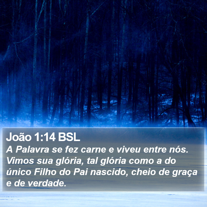 João 1:14 BSL Bible Study