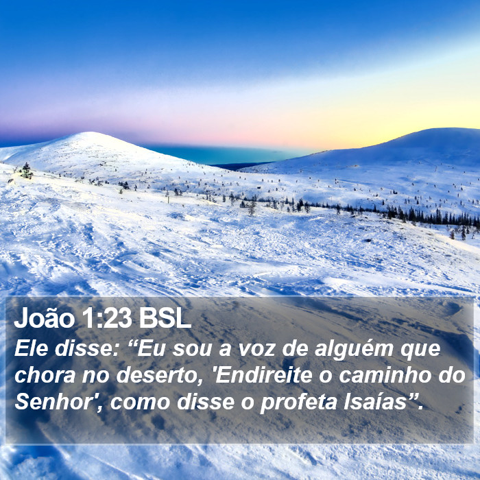 João 1:23 BSL Bible Study