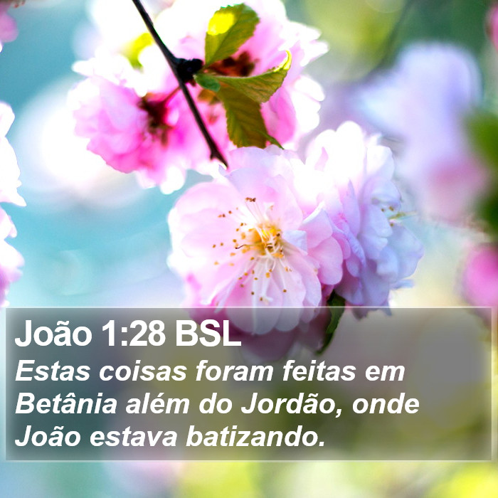 João 1:28 BSL Bible Study