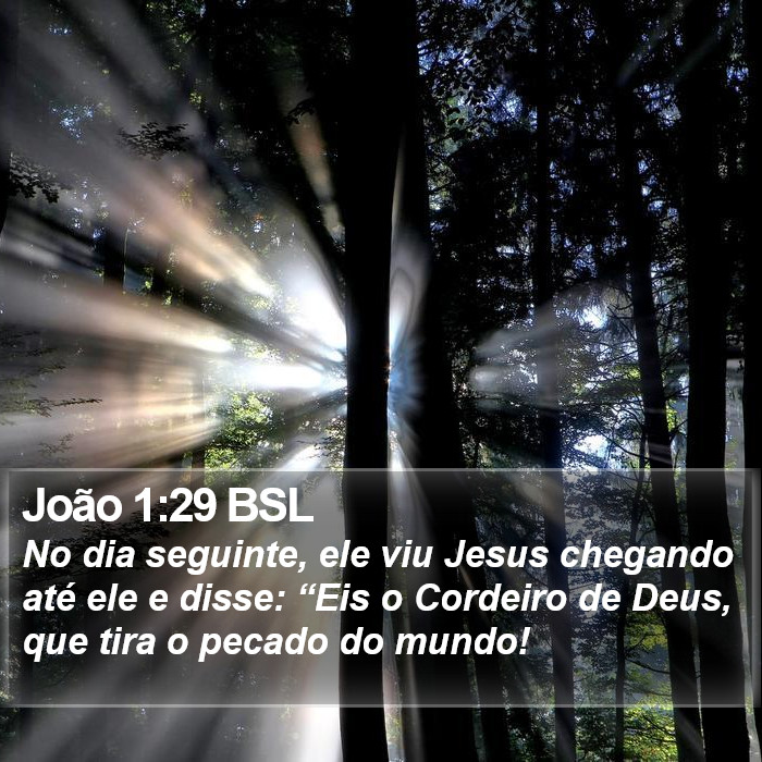 João 1:29 BSL Bible Study