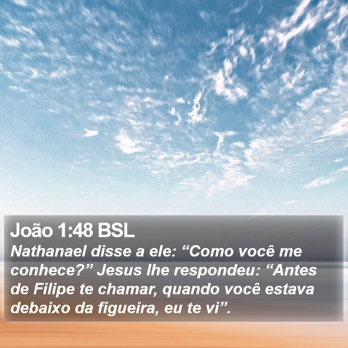 João 1:48 BSL Bible Study