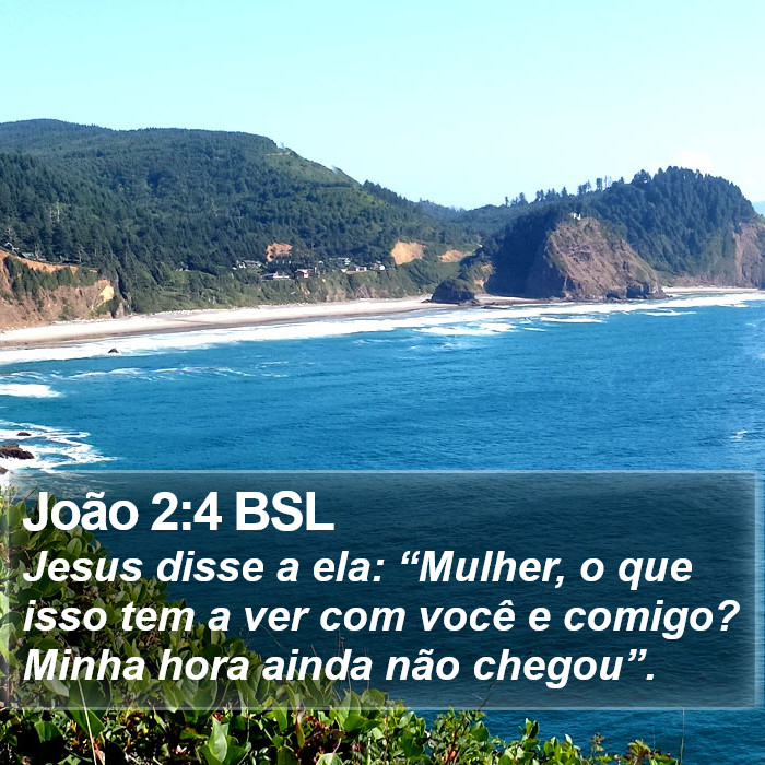 João 2:4 BSL Bible Study