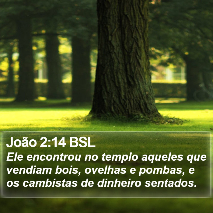 João 2:14 BSL Bible Study