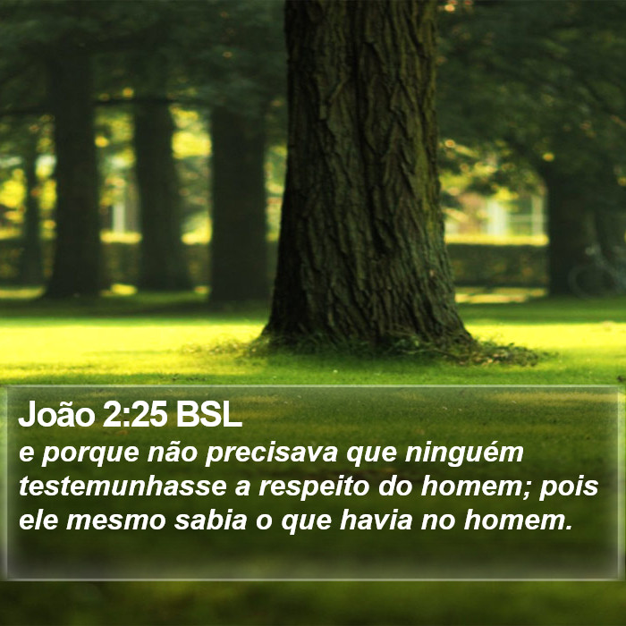 João 2:25 BSL Bible Study