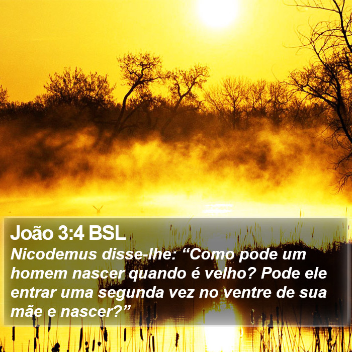 João 3:4 BSL Bible Study