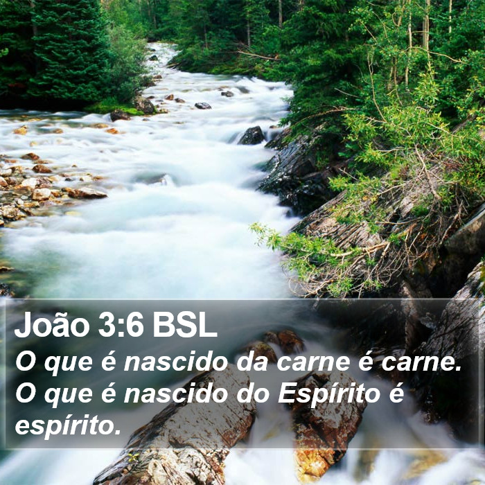 João 3:6 BSL Bible Study